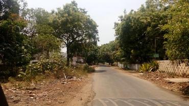 Maharaja forex t nagar