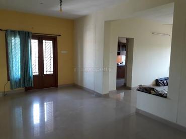 Maharaja forex t nagar
